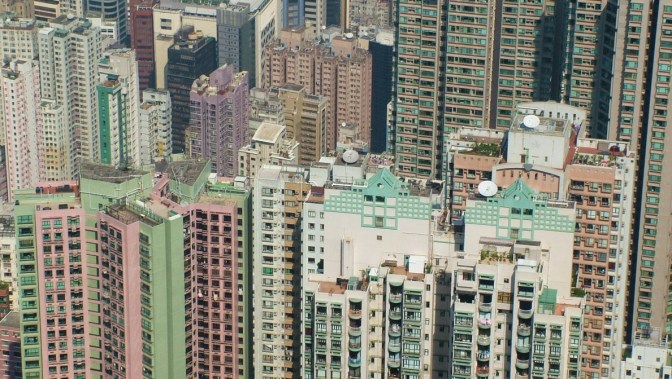 The urban jungle beneath